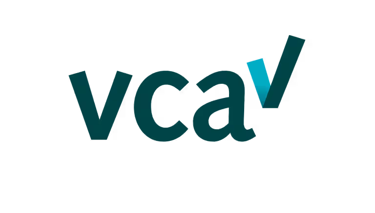 VCA_logo_4000x2276px_RGB_2.0-768x437